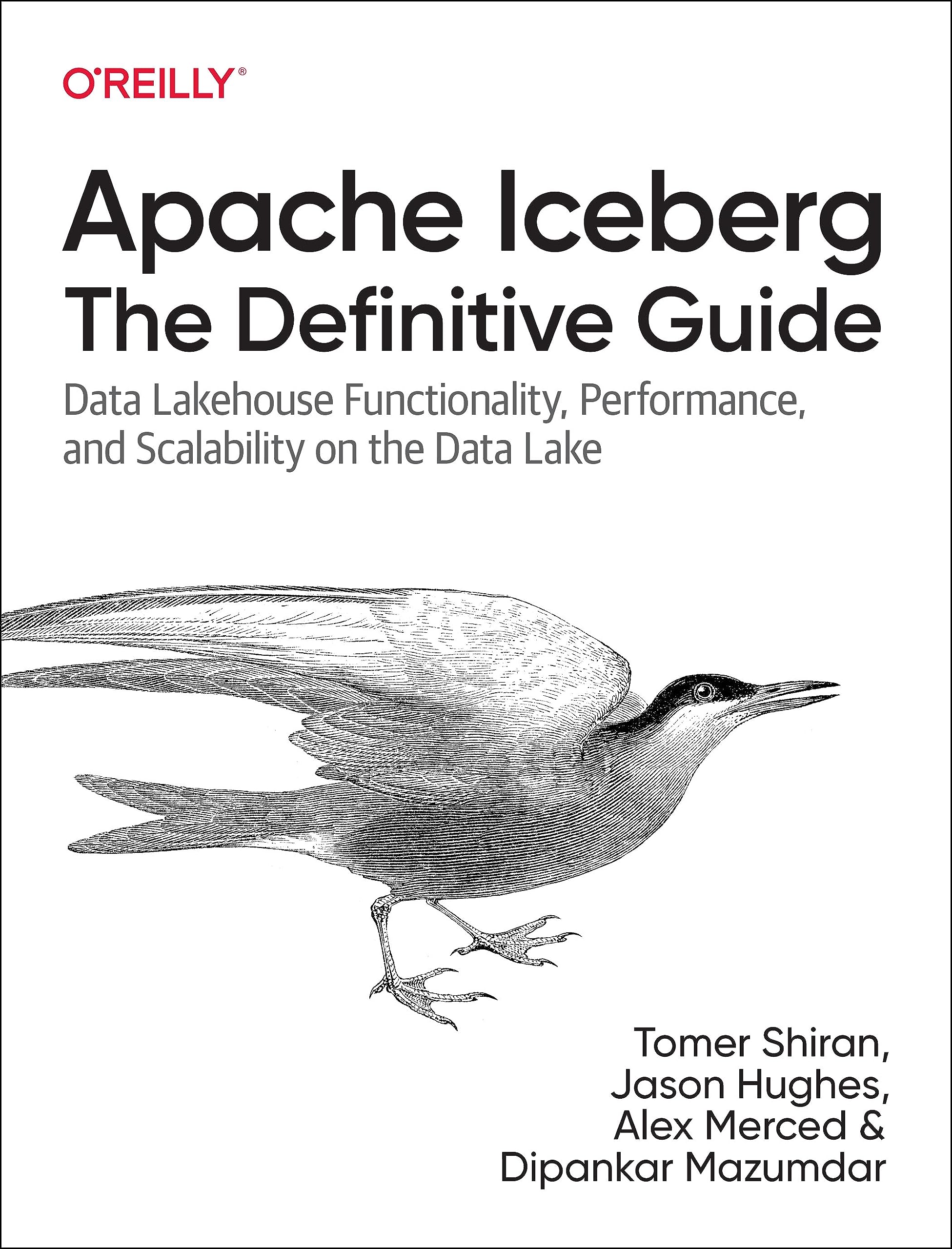 Apache Iceberg: The Definitive Guide